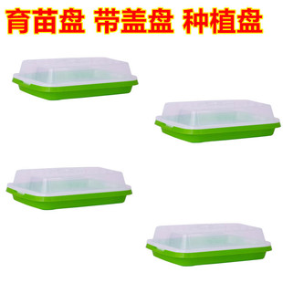 P̨NˮNֲPСѿoIBܱP