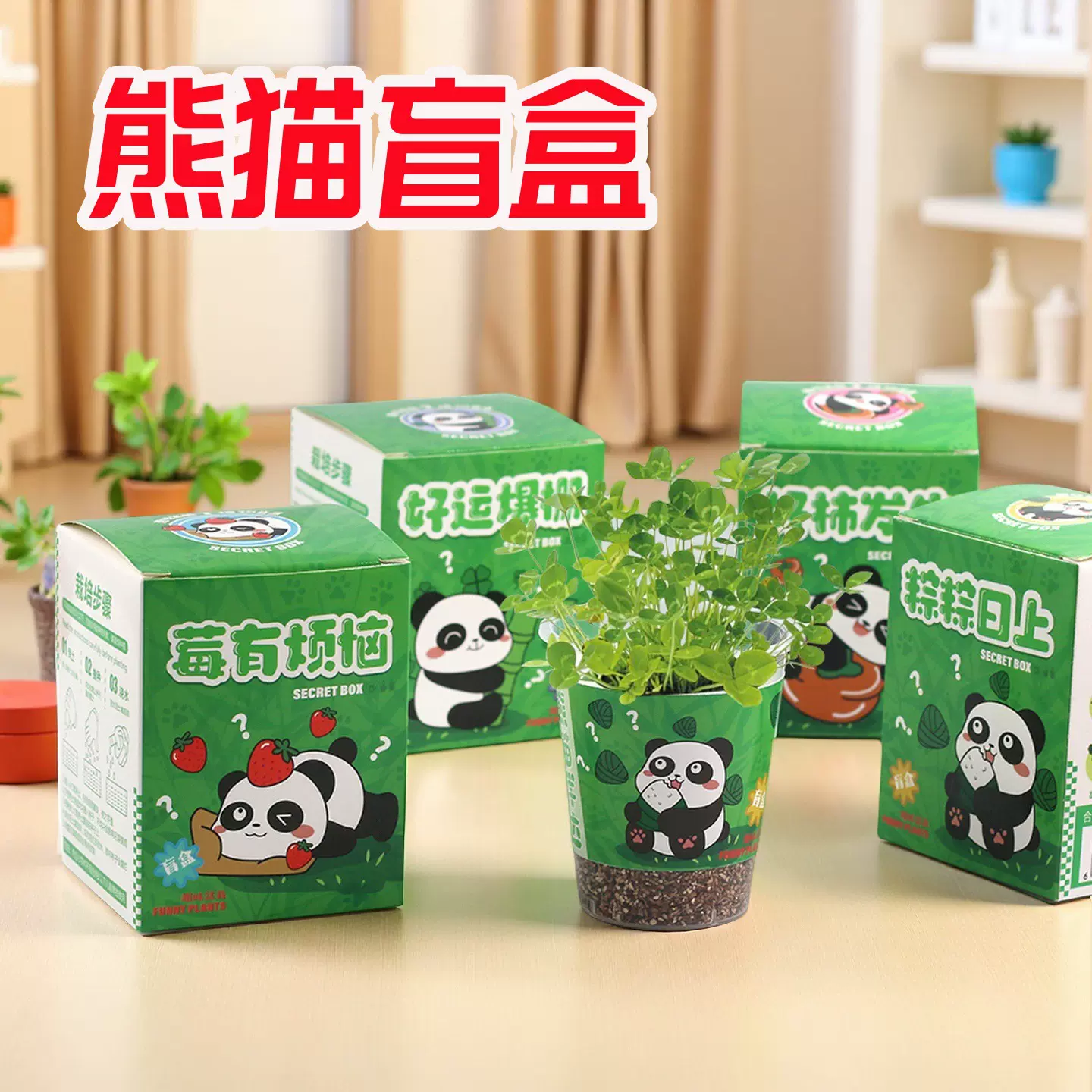 绿植室内花卉盆栽幼儿园小学生桌面土培植物摆件创意礼品奖品批发