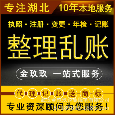 全湖北武汉公司个体户整理乱账税务代理财务咨询会计核算外包税筹|ru