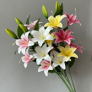 �ɻ��͏d�ٺϻ�������c���ϔ[�O����滨�bٻ��廨���������l