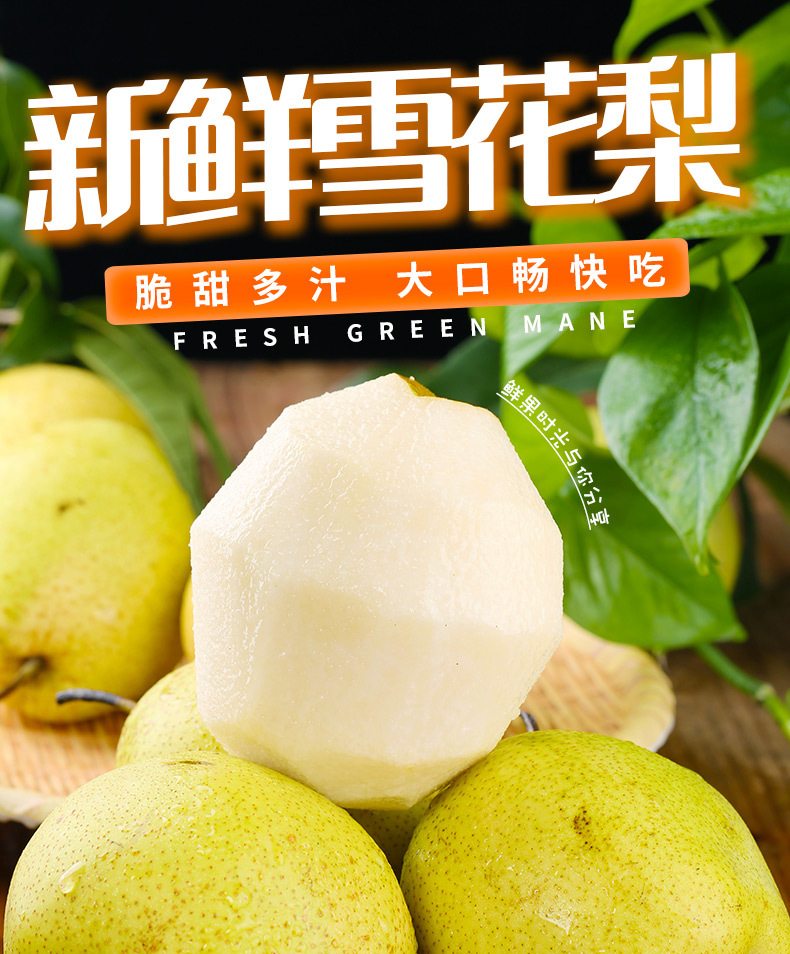 雪花梨1_01