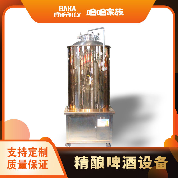 散装啤酒生产机器 精酿啤酒加工机器 大型精酿啤酒厂灌装设备