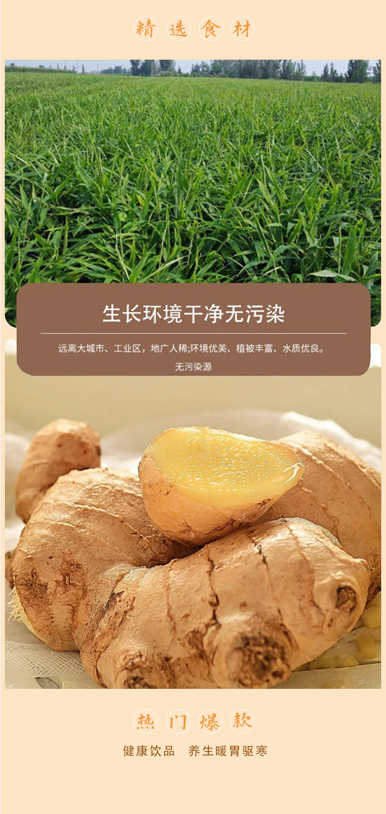 Fresh Pressed Small Yellow Ginger Juice Concentrate 150ml Ready to Drink Sachets overview