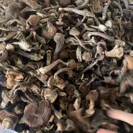 其他药食同源;参类滋补品;脱水蔬菜