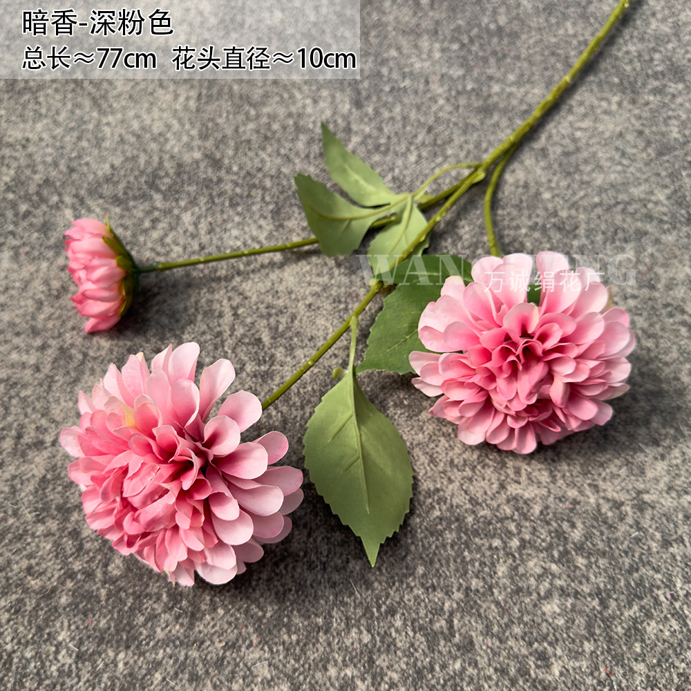 다크 핑크색 머리 3개(현재 모델에는 잎이 없음)