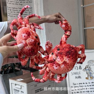 �羳������з��ż����з��������ë�q��߹��Ѓ�ͯ���␺��Y��