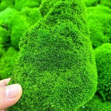 ����̦�\ֲ��װl�\�Kֲ���\�ɻ���ƺƤ�����\����\��������̦