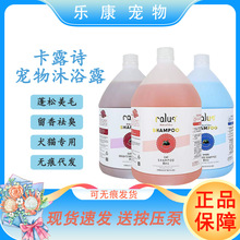 ������������ԡ¶3.78L��Ͱ����ϴ��ԡҺȮ؈���㲨�{����(��¶Ԋ