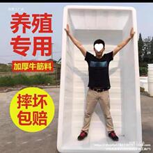 �Ӻ�ţ������ˮ���L���΃�ˮͰ�۸�ˮ�a�Bֳ�B�~�B���z�跽Ͱ��̖