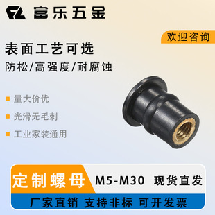 OEM �ߴ��ݼy M4 M5 M6 M8 �S�~Ƕ�����z��ĸ�m���Ħ��܇