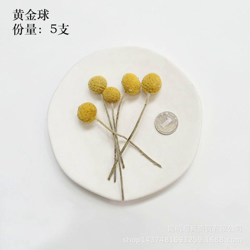 【各种果实类干花】圣诞果实类装饰品干花干果香薰蜡烛DIY橡果精|undefined