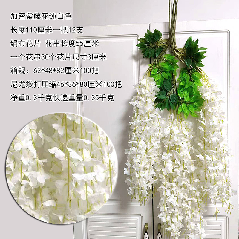 Frijoles cifrados en blanco puro (12)