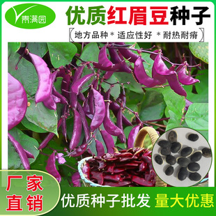 �tü���N������ü���N�ѾG�ⶹ������߅�ⶹ�����ļ��˷N�߲˷N��