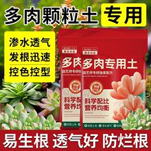 �����������w���I�B����̿�Nֲ�����ʯ�~�弃�w�������]Ǥ����}