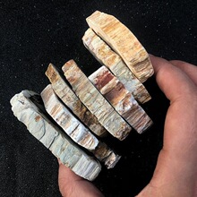 意天然硅化木树化玉切片古生物植物化石diy吊坠原石木纹摆件杯垫