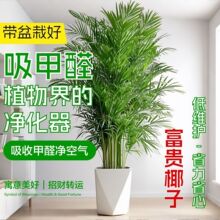 ���FҬ��ɢβ�����Դ����҃ȾGֲ�͏d�̨�k����ֲ���Pβ�����ȩ