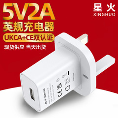 5V2A 充電器英国標準 UKCA、CE 認定 USB アダプタフルパワー LDE ランプペット器具充電ヘッド