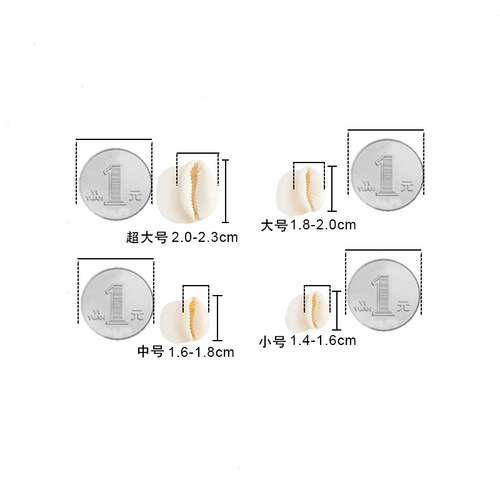 European and American accessories, natural shells and conches, gold-edged shells, sliced ​​shells, decorations, cut-edge shells and conches