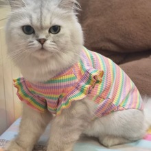 猫猫衣服防掉毛彩虹夏天宠物狗狗猫咪夏季薄款泡泡袖背心