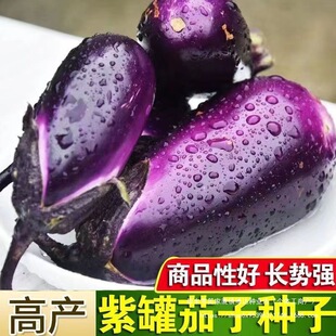 �������� �ش�������ţ��������ɫ�ڹ����ļ����N�̨�߲˷N��