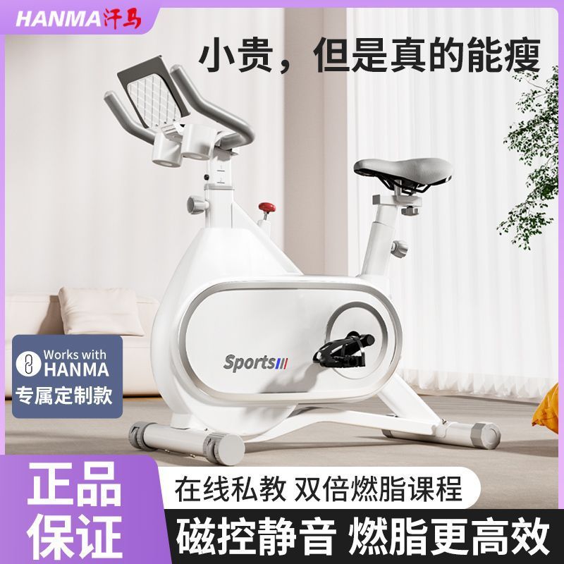 动感单车家用磁控健身房室内减肥运动健身车静音脚踏锻炼器材|undefined