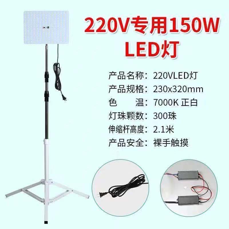 12v luz del mercado nocturno 48 v220 voltios batería carga led puesto luz súper brillante de baja tensión CC luz de emergencia exterior fábrica