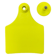 sţTPUܛ|ţţţͨô̖Sɫ100