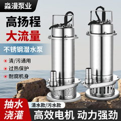 304不锈钢潜水泵220V抽水泵排污泵耐酸碱腐蚀不锈钢化工泵污水泵