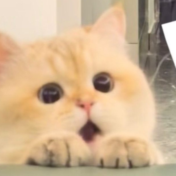 —实拍 王玉雯同款字母做旧脏脏印花长袖T恤 #030502