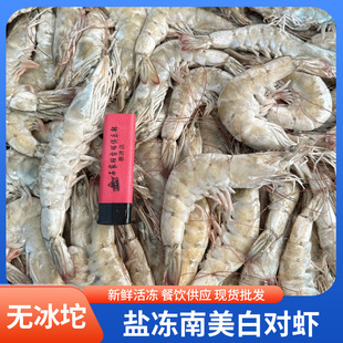 �}�������׌��r���r������l��������r�����r���r���l