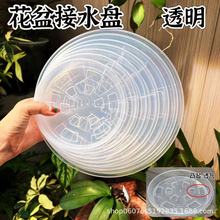 ���l���ψA�λ����бPPP͸����ɫ�tɫ�Ӻ��ֹ�eˮ��ˮ�P