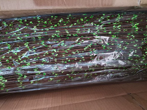 Green (the price of 100 packets of the price)