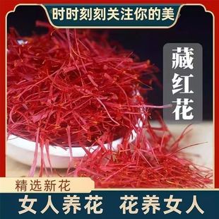 �ؼt�� ����Դ�^���l���t���L�z�o�S�� ���lƿ�b�ؼt����ș��