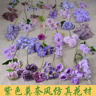 ��ɫϵ��Y��Ī���L���@��c��Y�ò���·�����\�ϵ��Ͻ�����