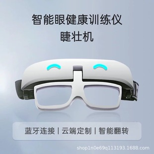 Vision Adjustment Training Flip Camera, Vision Training Flip Camera, Head-Mounted Flip Camera, Adjustable Interpupillary Distance Flip
