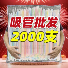 һ�������ܲ�ɫˇ�g���^�ֹ�ʳƷ�����ϼ��Ã�ͯ��ˮ����������l