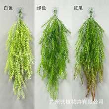 ����ާ�ݾGֲ�ڒ�����ާ�~��˹���ݿ՚��ֲ��b��辰���@