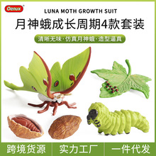 �������x������L����ģ�������Gβ���δ��Q����Ů���������