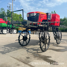 50RʽʩʴșһwC СׇșC rÇUFC