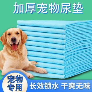 Pet Diaper Pad Thickened Dog Diaper Pet Diaper Teddy Pet Supplies Puppy Diaper Pad Absorbent Wholesale