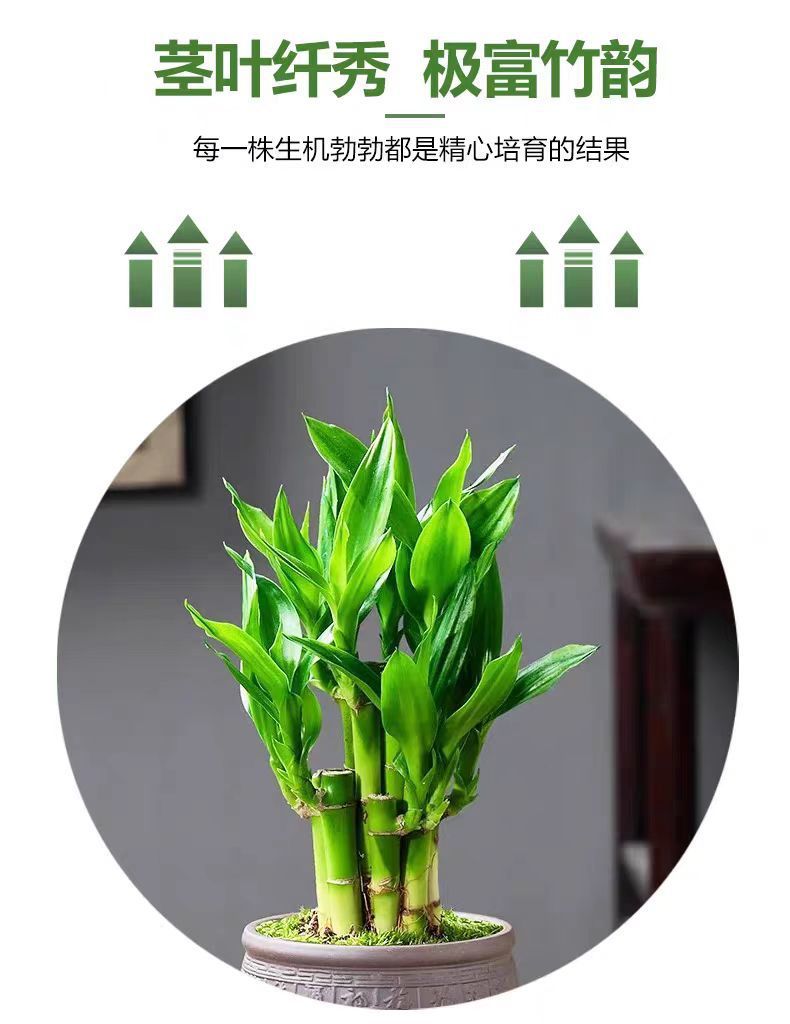 14af48cb-3fd9-4391-a98b-acda992c0227.jpe