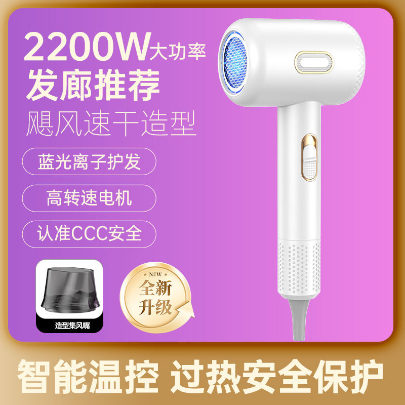 펑치 헤어드라이어 2200w [화이트]
