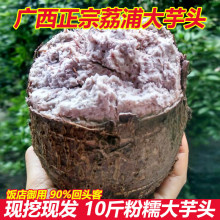 水澜丞广西荔浦特大芋头新鲜整箱10斤现挖粉香芋头糯艿槟榔紫藤毛