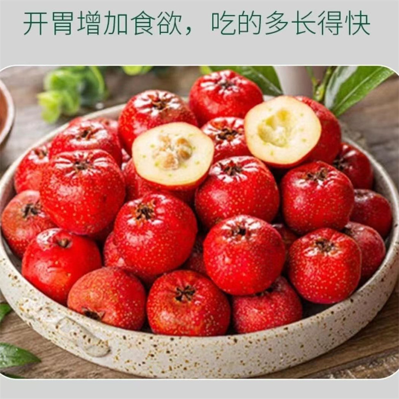 lADPJwKt3tfwtenNBBnNBBk_1049_1