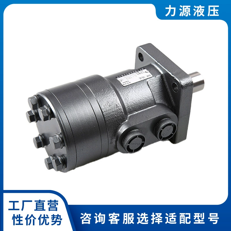 Производители поставляют гидравлический двигатель серии BM1, поворотный двигатель BM1-200, различные методы установки масляных портов.