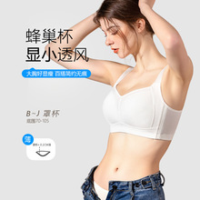 ������������@С�������ؾ۔n�ո�����´��o�Ȧ��ȫ�ֱ�������