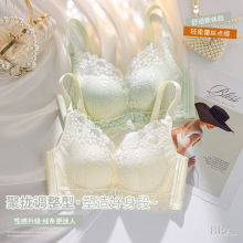 ����ŮС���@��۔n���´�2026�¿���к���¿�o�Ȧ�ٽz����