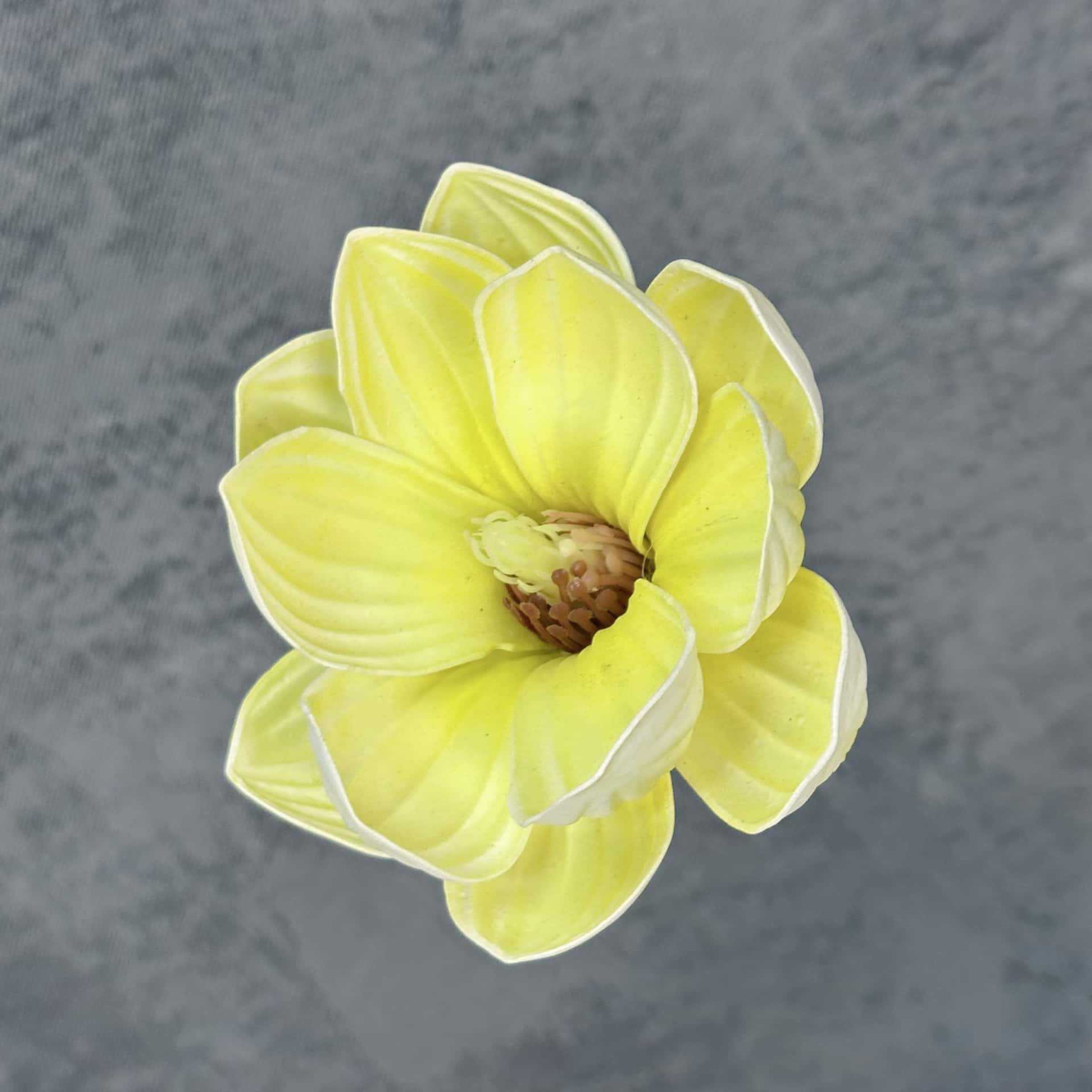 Flor de simulación transfronteriza EVA cabeza de magnolia 13cm tacto tocado kapok decoración decoración decoración flor falsa al por mayor