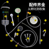 Инкубатор для артемии, профессиональное инкубационное ведро для артемии, большое красное яйцо, инкубатор для яиц артемии