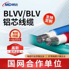 国标定制10/16/25/35/50/70/95/120/150平方双绝缘BLVV/BLV铝芯线